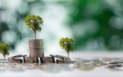 Kabinet dicht belastinglek in box 3 bij obligaties