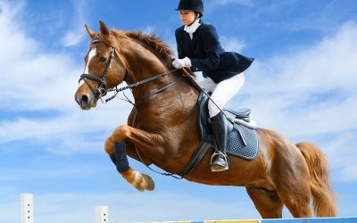 Door lang wachten met transport geen nultarief